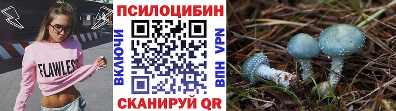 Купить где  Александровск-Сахалинский  Псилоцибиновые грибы ЛСД 